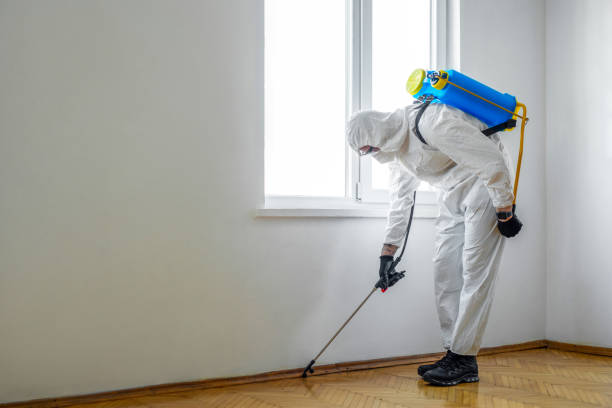 Best Best Pest Control Companies  in Kayak Point, WA