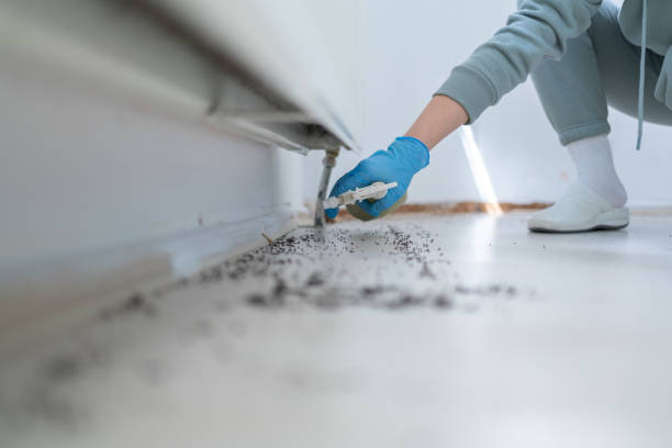 Best Cockroach Control Services  in Kayak Point, WA